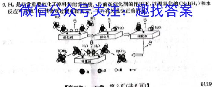 九师联盟·河南省2023-2024学年第二学期高二期末联考化学