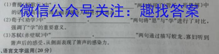 安徽省高二濉溪县口子实验高级中学2023-2024学年度第二学期期末教学质量检测语文