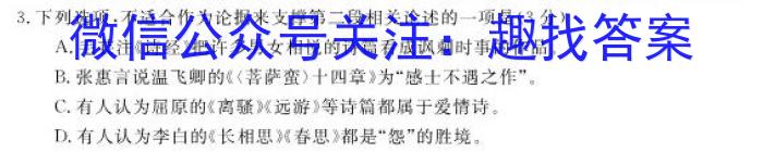 安徽省2024年九年级教学质量检测(CZ147c)语文