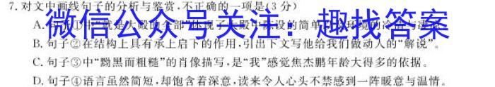 2024届云南省高三2月联考(24-345C)语文