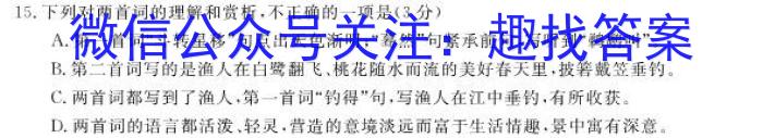 安徽省2024届下学期九年级开学考试（2.27）/语文