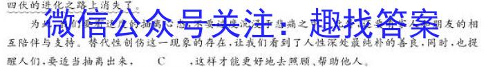 九师联盟·2024届高三3月质量检测（新教材-L）语文