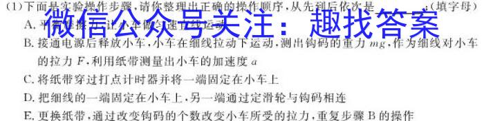 2024年普通高等学校招生全国统一考试临考猜题卷(AA)物理试题答案