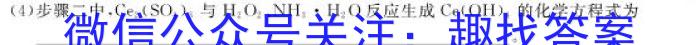 2024届江苏省新高考基地学校第五次大联考化学