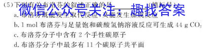 2024年河南省重点中学内部摸底试卷(二)化学