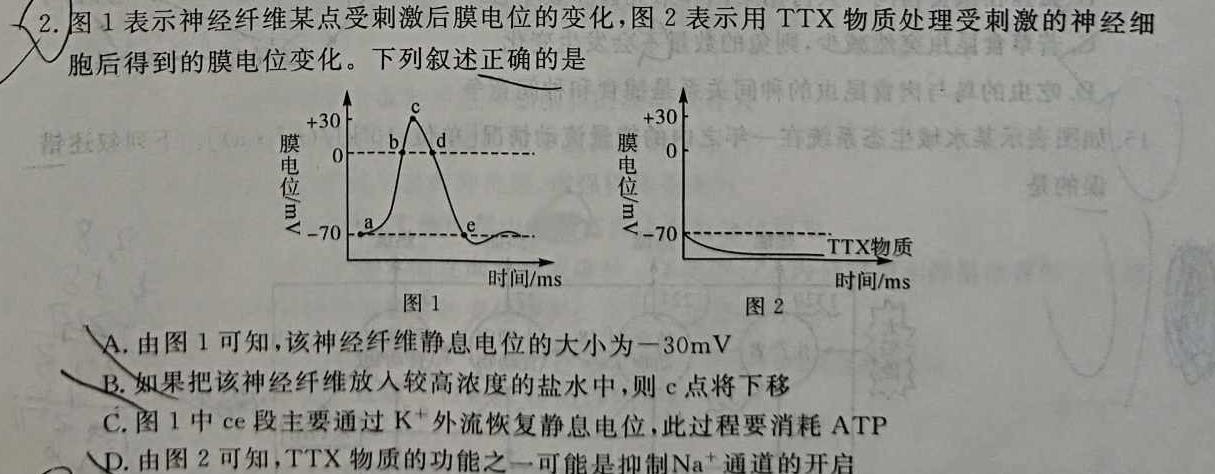 辽宁省2023~2024学年度下学期高二年级期末联考生物