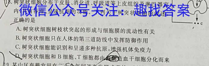 泉州一中、泉港一中等四校联盟2023-2021学年下学期期末考联考（高二年级）生物学试题答案