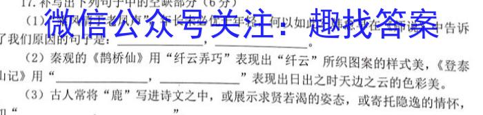 漂读教育 2024年福建多校第一阶段高考复习检测联合考试/语文