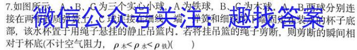 2023-2024学年云南省高二月考试卷(24-538B)物理试卷答案