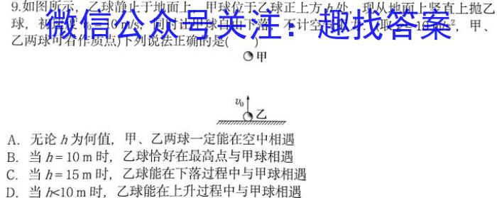 河北省2023-2024学年度第二学期九年级模拟训练试题物理试卷答案