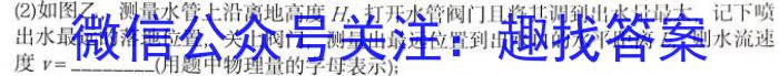 中考必刷卷·2024年名校内部卷六h物理