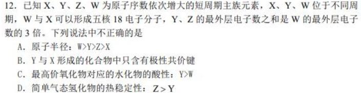 1河南省濮阳外国语学校2023级高一第七次质量检测试卷(241714Z)化学试卷答案