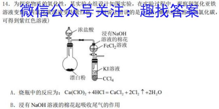 3湖南省2024届高三2月入学统一考试试题(♠)化学试题