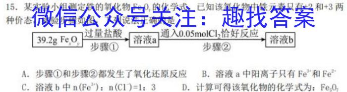 2024年湖南省初中学业水平考试模拟试卷(五)化学