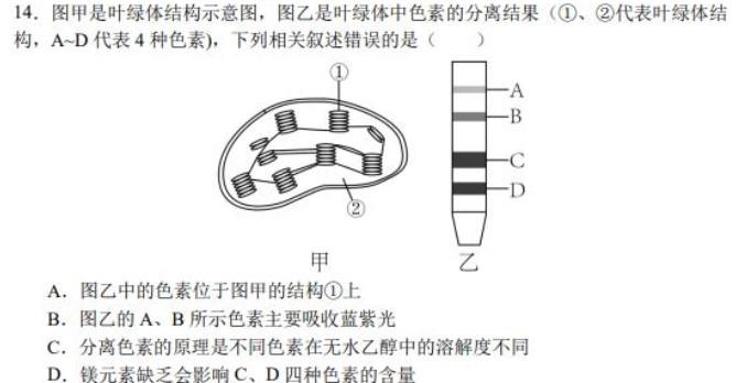 2024届陕西省九年级教学质量检测(24-CZ180c)生物学