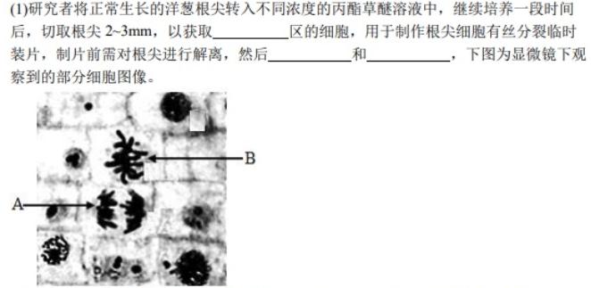 安徽省2023-2024学年第二学期高一下学期5月联考生物学部分