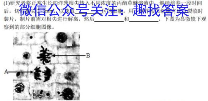 真题密卷 2024年学科素养月度测评(五)5生物