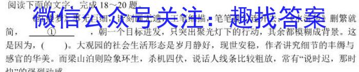 安徽省2023-2024学年度第二学期九年级阶段模考语文