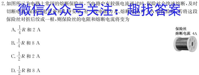 安徽省2023-2024学年度第二学期九年级作业辅导练习物理`