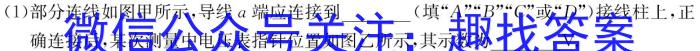 2024年辽宁省教研联盟高三调研测试q物理