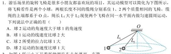 [今日更新]2024届雅礼中学高三综合自主测试(一).物理试卷答案