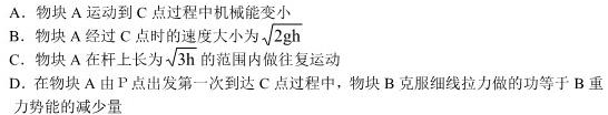 天一小高考 2024-2025学年(上)高三第一次考试(物理)试卷答案