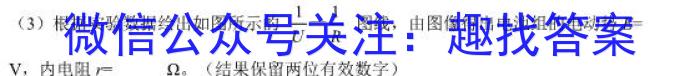 三湘C18教研教改共同体2024年中考全真模拟压轴大联考物理`