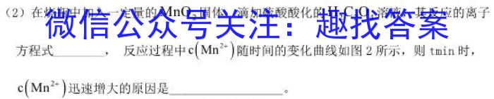 q陕西省2024年九年级仿真模拟示范卷 SX(一)化学