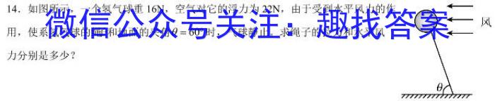 2024年中考密卷·临考模拟卷(二)物理`