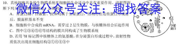 山东名校考试联盟2023-2024学年高二年级下学期期中检测生物