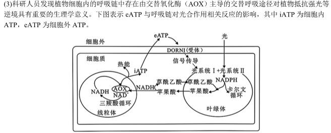 ［四川大联考］四川省2024届高三年级下学期5月联考生物学部分