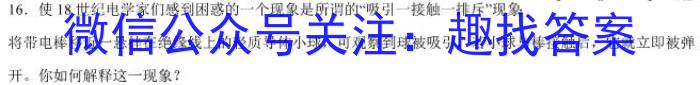 陕西省2023~2024学年度九年级期中教学素养测评(六) 6L R-SX物理