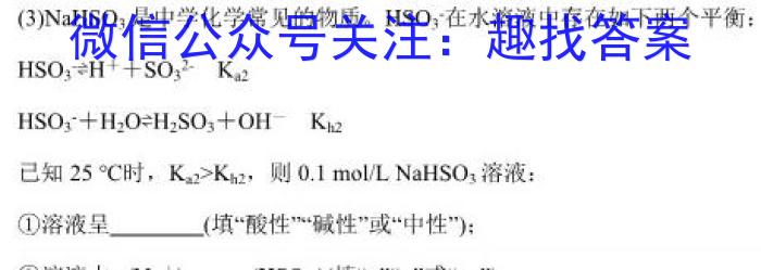 2024河南中考仿真模拟试卷（二）化学