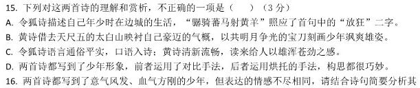 [今日更新]万唯中考 2024年安徽省初中学业水平考试 定心卷语文试卷答案