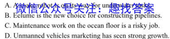 安徽省2024年初中毕业学业考试模拟试卷2024.3英语试卷答案