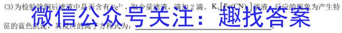 2024年兴城市中考适应性测试化学