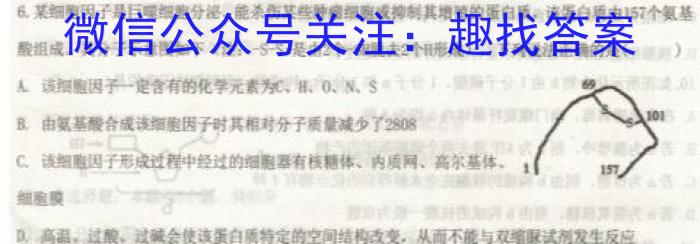 重庆市高2025届上学期拔尖强基联盟高三10月联合考试生物学试题答案