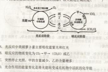 1号卷 A10联盟2022级高二下学期4月期中考生物学部分