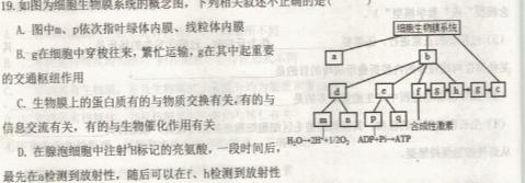 1号卷 A10联盟2022级高二下学期2月开年考生物学部分